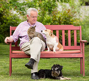 Image of Old man resting on bench and cuddling dog and cat